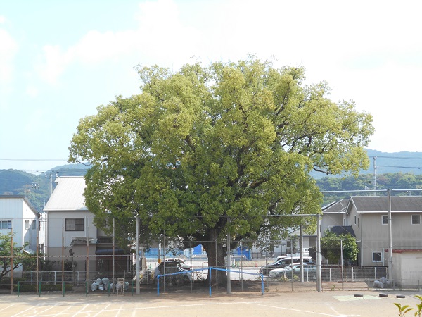 高知市立朝倉小学校