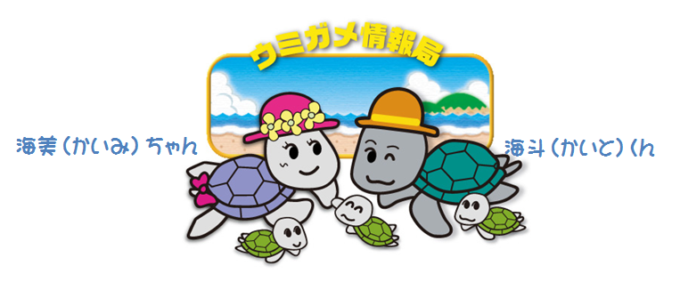 海斗くんと海美ちゃん