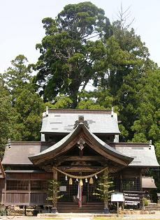 小村神社と牡丹杉