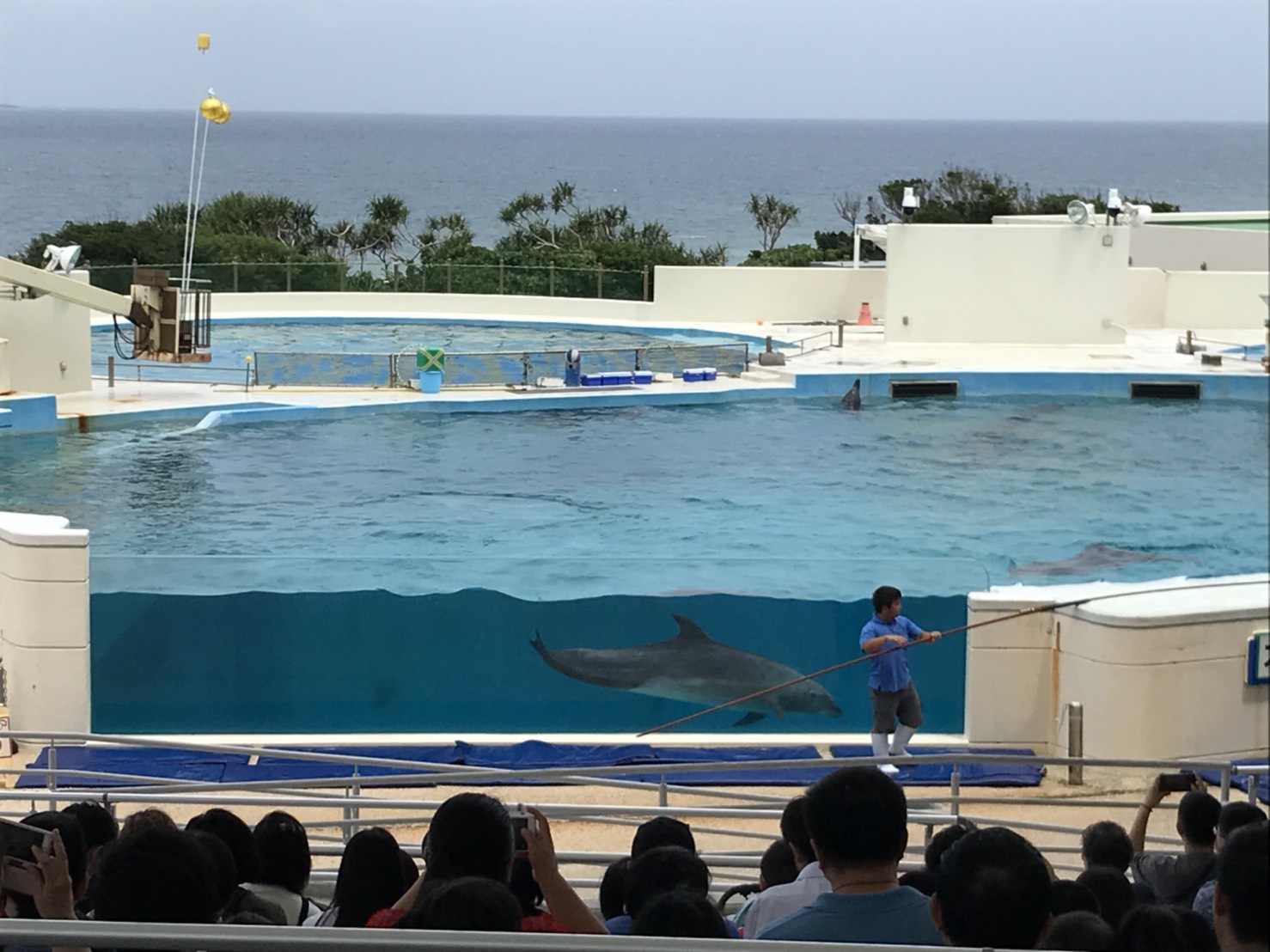 美ら海水族館