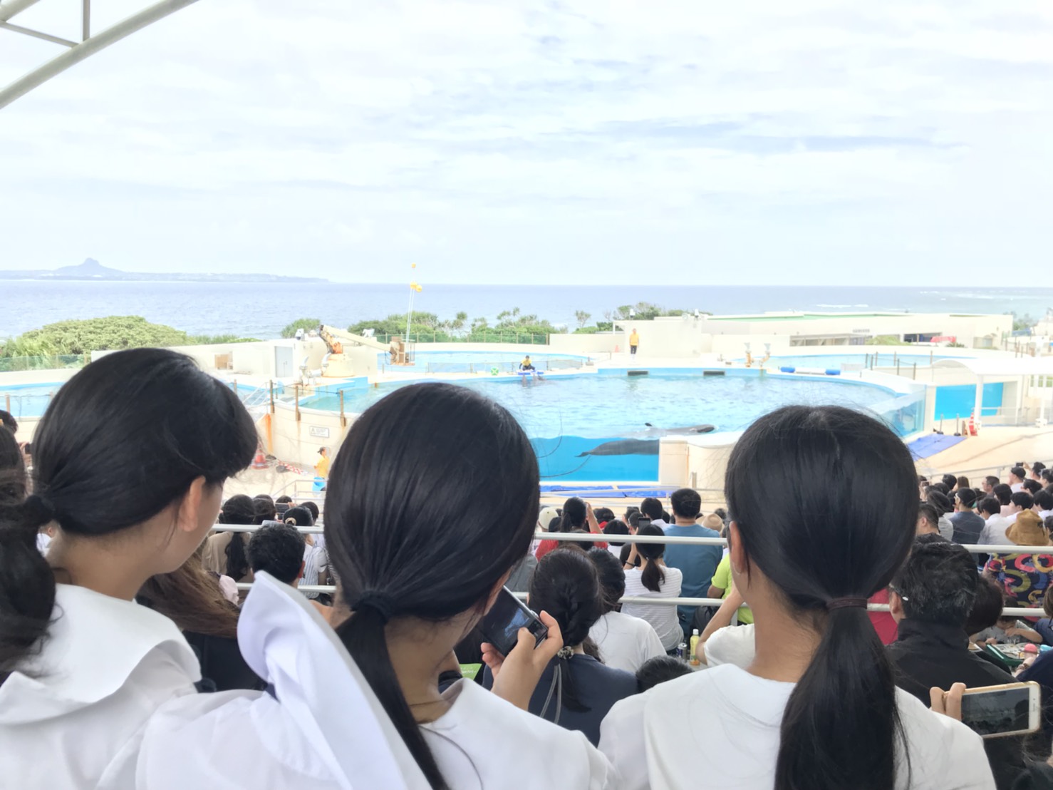 美ら海水族館