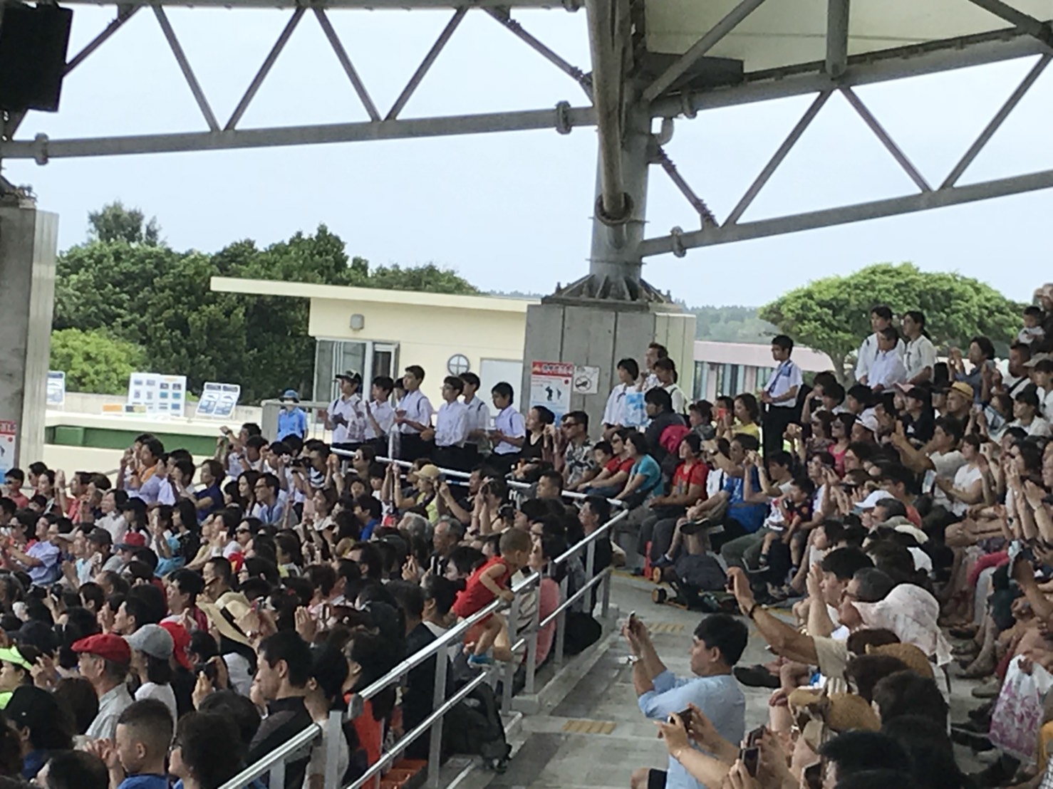 美ら海水族館