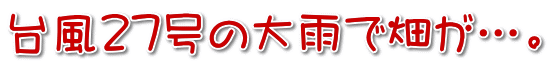 台風27号の大雨で畑が…。 