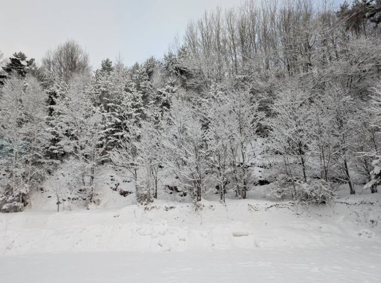 R7_研修旅行［１年］（４日目） (7)