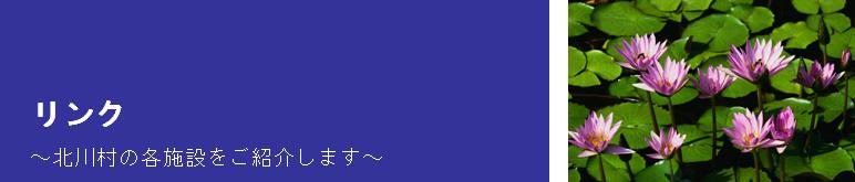 Nbk쑺ψ