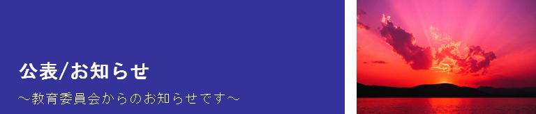 m点bk쑺ψ