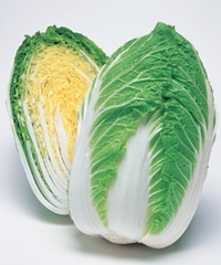 白菜
