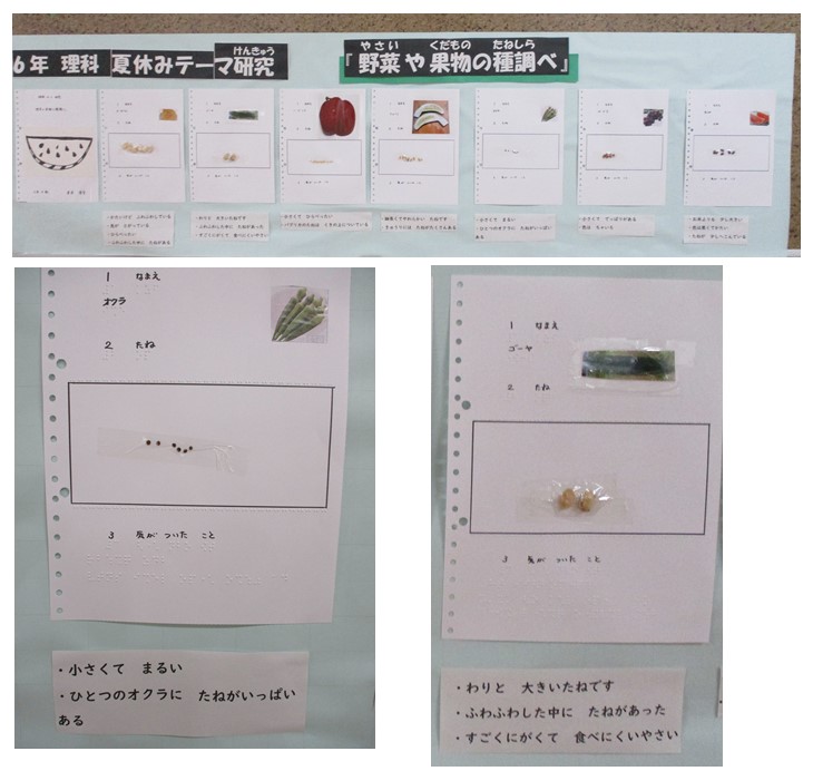 夏休みテーマ研究