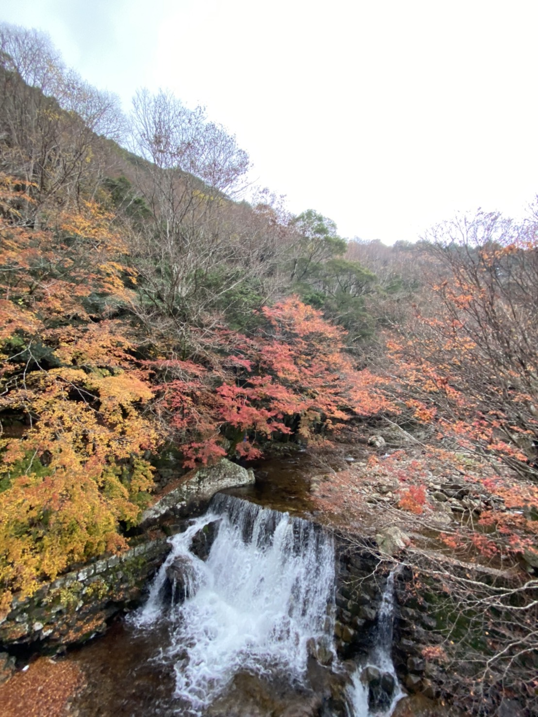 茨木七海