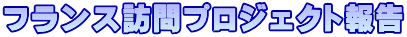 フランス訪問プロジェクト報告