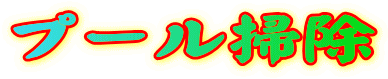 プール掃除 