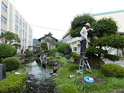 池の水抜き・木の剪定