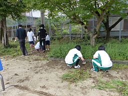 グラウンド西側草引き