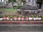 DSCN1308.jpg