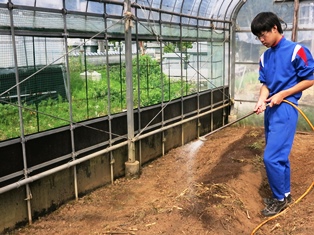 たっぷり散水します