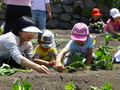 居住地校交流　小学部の様子