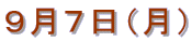 XVij 