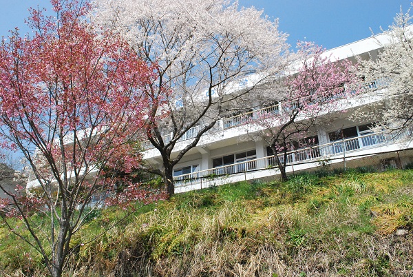 鏡中学校