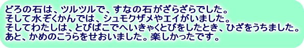 どろの石は、ツルツルで、すなの石がざらざらでした。 そして水ぞくかんでは、シュモクザメやエイがいました。 そしてわたしは、とびばこでへいきゃくとびをしたとき、ひざをうちました。 あと、かめのこうらをせおいました。楽しかったです。 